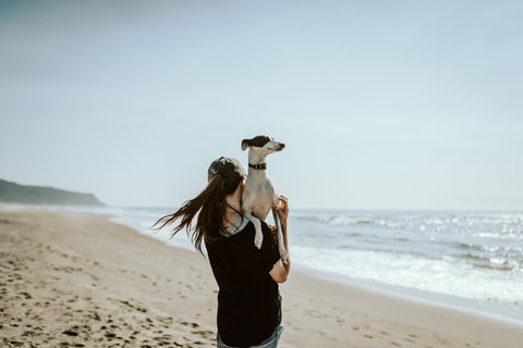 woman and dog on beach