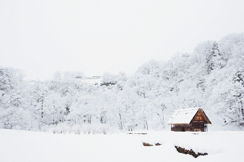 Photo of a wooden house in the middle of the winter season