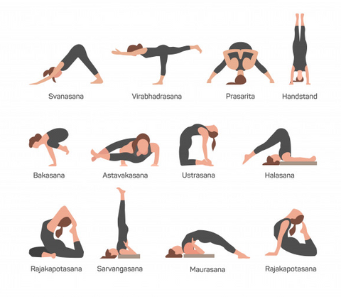 Iyengar-Yoga-Ausrichtung