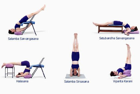 Iyengar yoga alignment