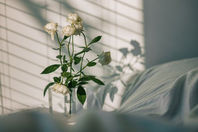 どこにする 花を飾る場所を工夫してより豊かな花のある暮らしを Lifft