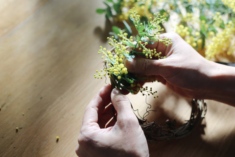 ミモザの花の特徴