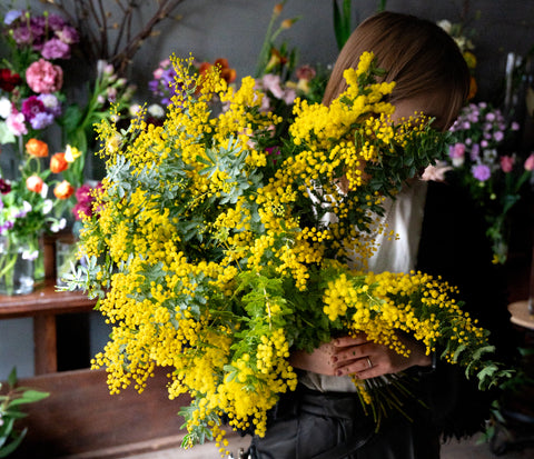 ミモザの花言葉