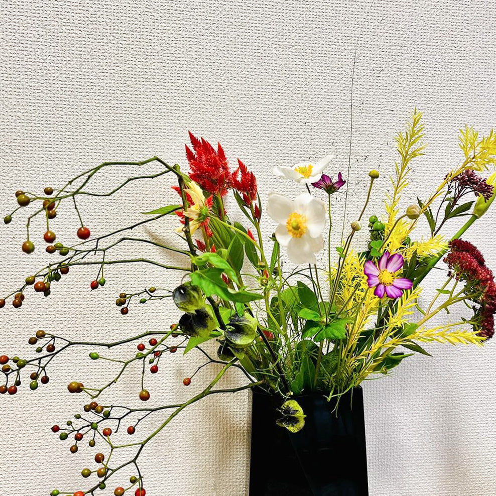 菊の花の定期便