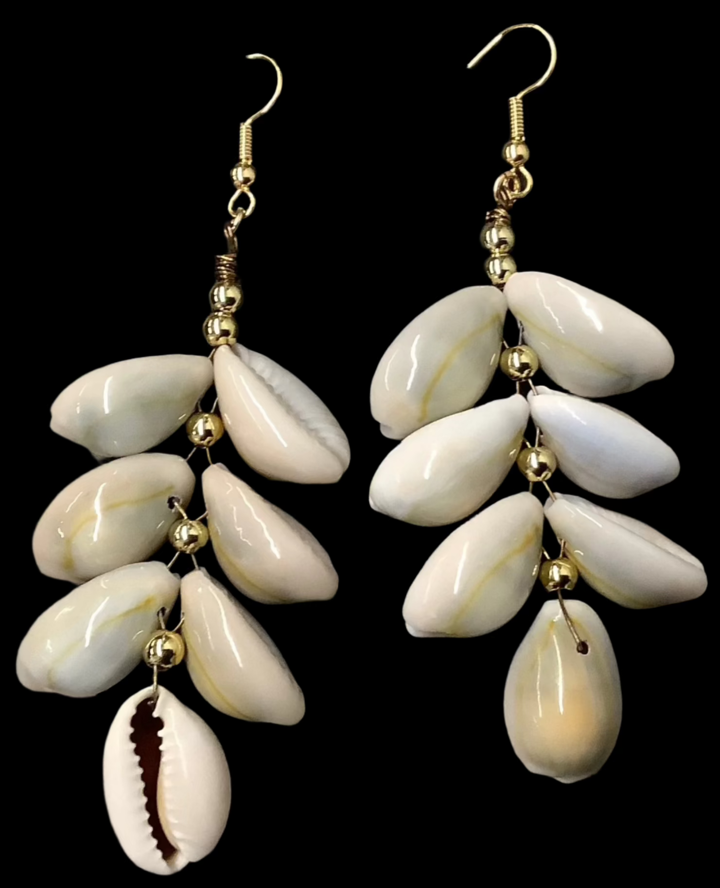 Cowrie Shell Earrings