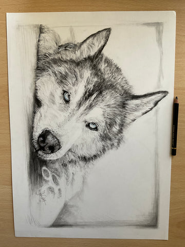 Husky wolf dog art commission pet portrait