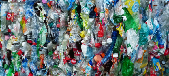 Pin en Reciclar botellas de plástico