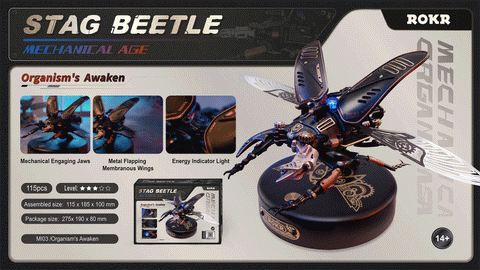 Stag Storm Beetle - Brain Spice