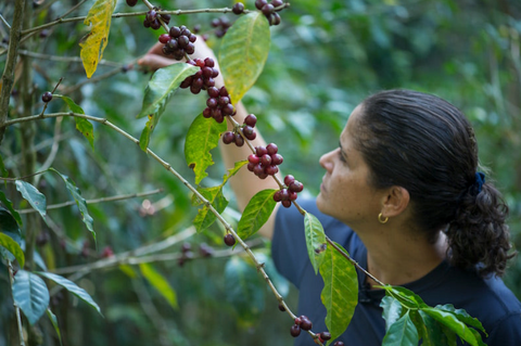 Aida Batlle - El Salvador