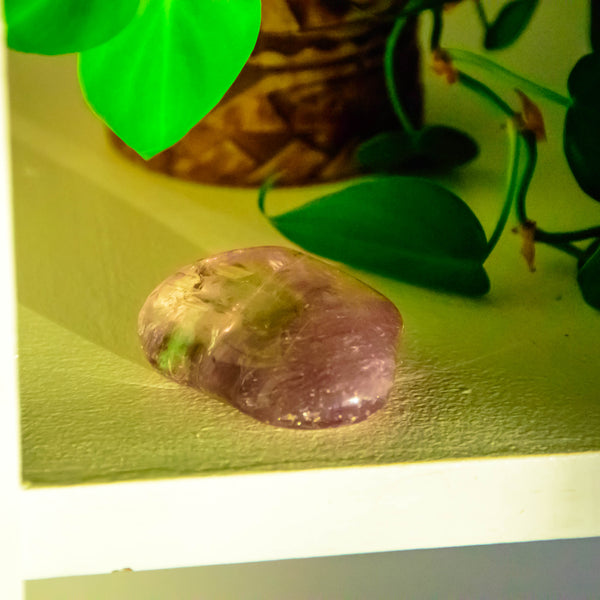 amethyst placed at home next to a plant for healing and wellness