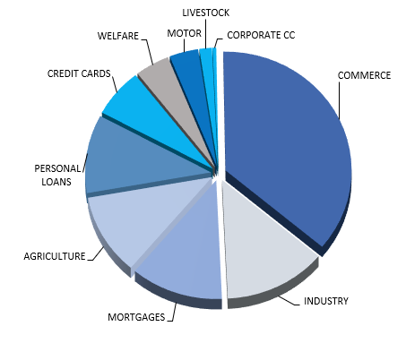 Consumer & Commercial Lending Market in Nicaragua - Ranking & Performance - Total Credit outstandings - Overview