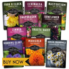 10 flower seed collection