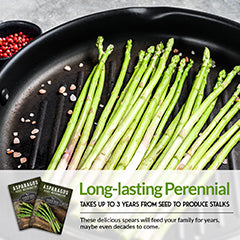 Asparagus seeds