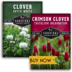 Clover Seed Collection - 2 packets of seeds - Dutch White Clover and Crimson Clover