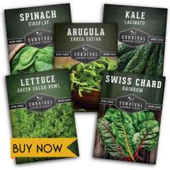 Cool Weather Greens seeds for planting in early spring