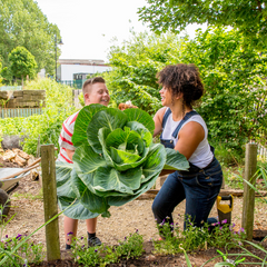 Community Gardening