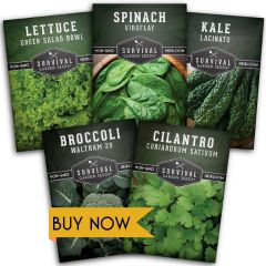 Cool Weather Collection Seed Vault - Spinach, Kale, Cilantro, Broccoli, and Leaf Lettuce