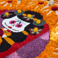 Marigolds to celebrate the Day of the Dead