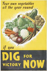 Dig for Victory Now Poster