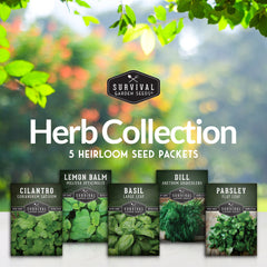 Herb Seed Collection