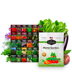 Home Garden Seed Collection - 30 packets of heirloom garden seeds