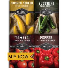 Kabob vegetable seed collection - 4 packets of vegetable seeds including tomato, pepper, and squash