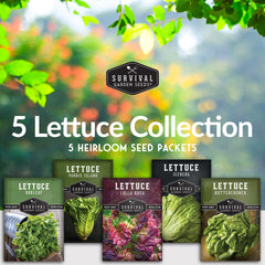 Lettuce Collection