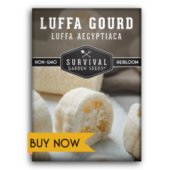 Buy Luffa Gourd seeds