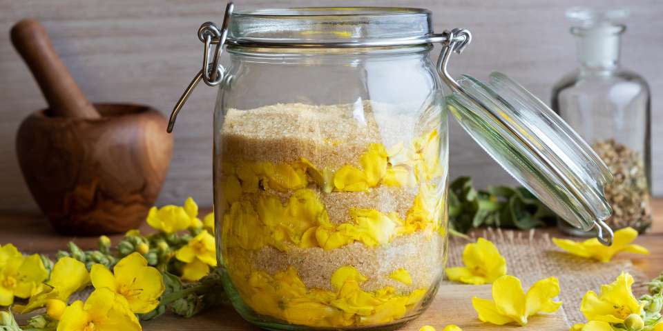 Mullein flowers in brown sugar