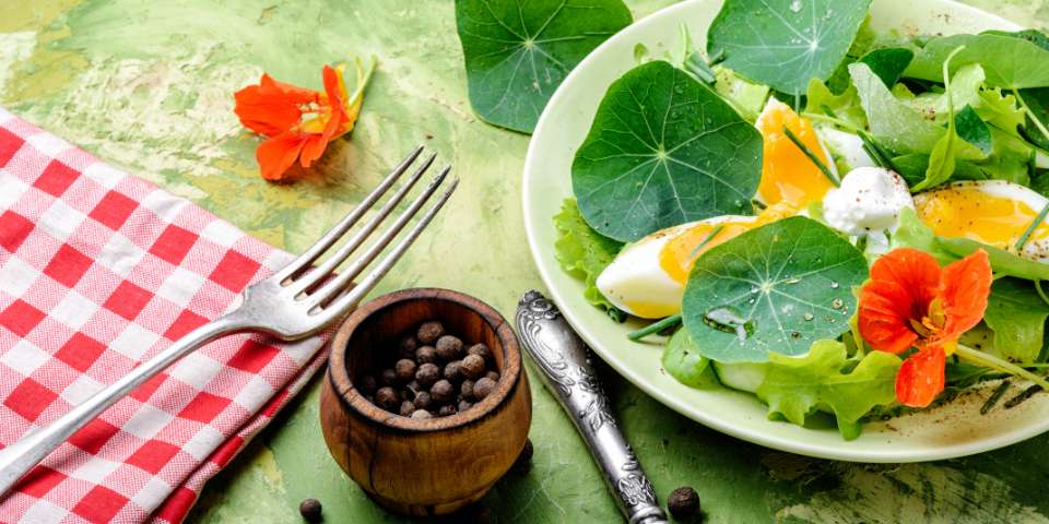 Nasturtium leaves, flowers and seeds in a salad