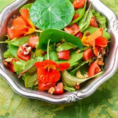 nasturtium leaves and flowers in a salad