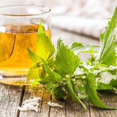 Stinging Nettle Herbal Tea