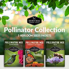 Pollinator seed collection