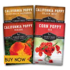 Poppy seeds for planting