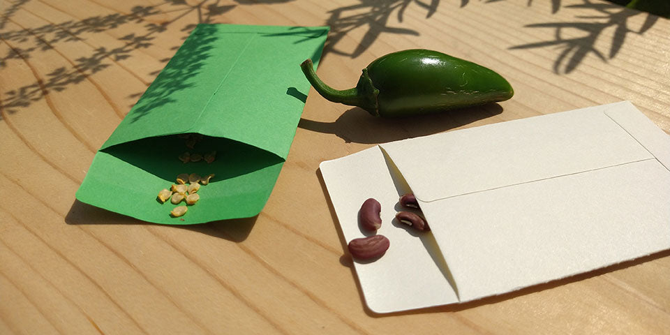 Seed Packets