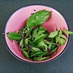 thai basil leaves