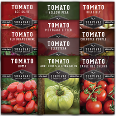 10 tomato seed collection