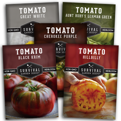 colorful tomato seed collection