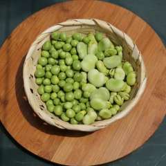 Beans and peas