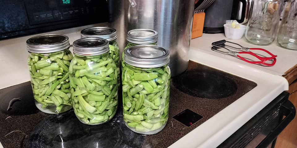 Canned green beans