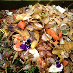 What can you compost