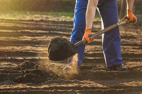 Soil cultivation and tilling