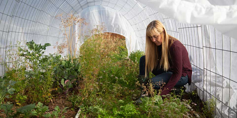 Inside grow tunnel