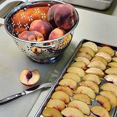 Prepping peaches for freeze dry