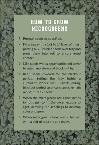 How to grow Microgreens