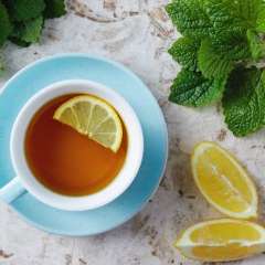 Lemon Balm