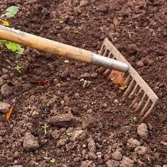 raking the garden