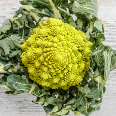 Romanesco Broccoli