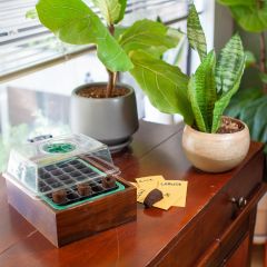 Seed starting tray