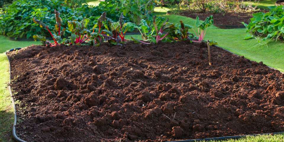 Prepared Spring Garden soil